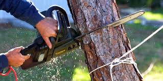 Best Soil Testing and Treatment  in Durham, CA