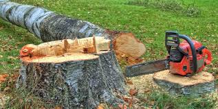Best Tree Preservation Services  in Durham, CA