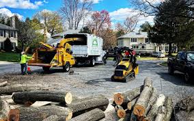 Best Hazardous Tree Removal  in Durham, CA