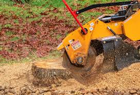 Best Lot and Land Clearing  in Durham, CA